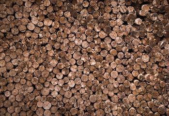 decorative cross section view  cutting wood