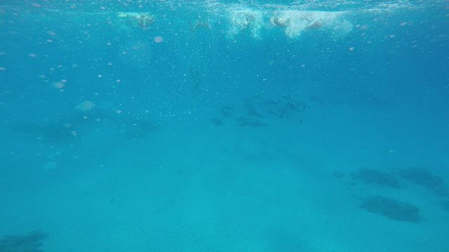 Schnorchler versuchen, einer Gruppe Delfinen zu folgen