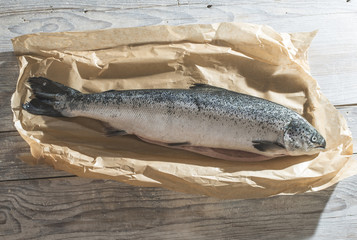 Raw fish wrapped in paper