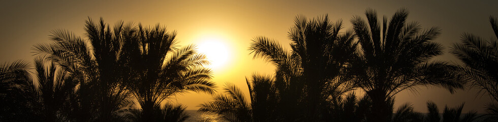 Fototapeta na wymiar Sunrise - Red Sea