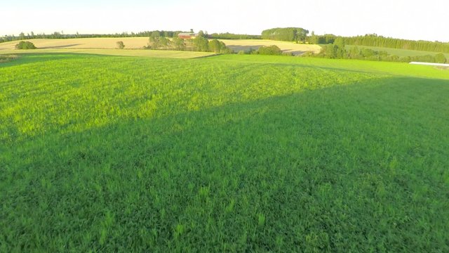 Flying over large green fields at farm