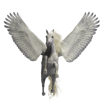 White Pegasus on White - Pegasus is a legendary divine winged stallion and is the best known creature of Greek mythology.