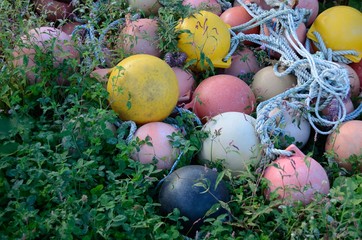 草むらの浮き球