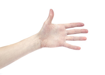 Female hands isolated on white background