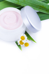Organic skincare creams with camomile