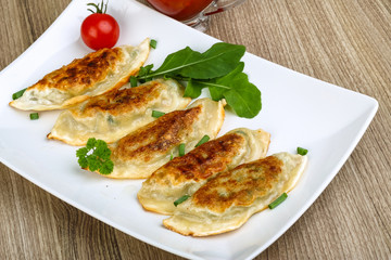 Japan traditional cuisine - Gyoza