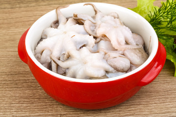 Raw baby octopus