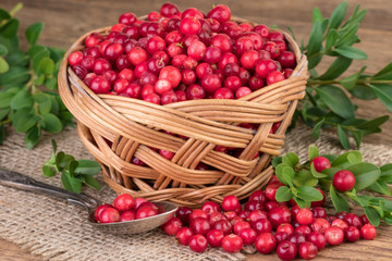 Fototapeta na wymiar Lingonberry basket on burlap