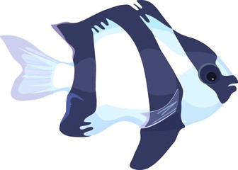 Obraz premium Dascyllus aruanus