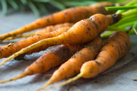 Homemade organic carrots