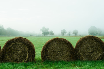 The hay field 1 © summit fever