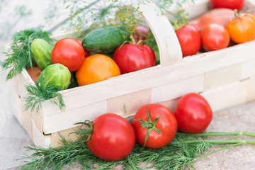 Basket with red, yellow tomatoes and cucumbers decorated with di