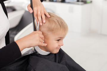 Obrazy na Szkle  Wykwalifikowana młoda fryzjerka strzyże ludzkie włosy