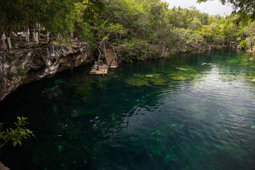 Fototapeta na wymiar Cenote with pure water, Mexico