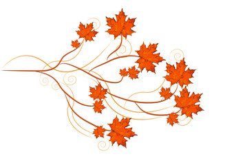 
Maple leaves vector, autumn theme with branches and swirls