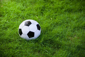 Fototapeta premium Soccer ball on grass