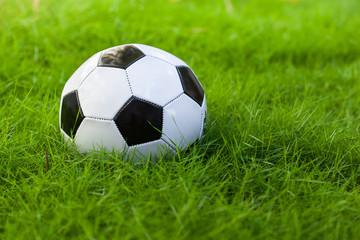 Soccer ball on grass