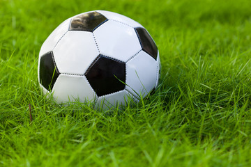 Obraz premium Soccer ball on grass