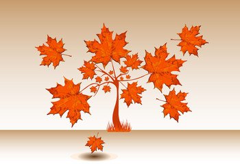 Naklejka na ściany i meble Autumn tree with big leaves, vector maple tree