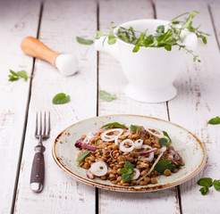 Lentils with onion and mint dressing. selective focus