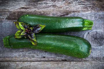 Fresh organic gardening vegetables