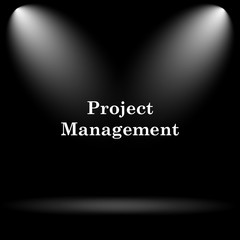 Project management icon