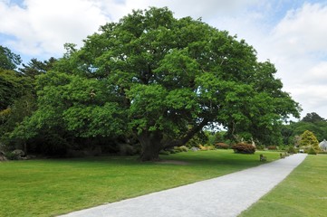 Irlanda, Muckross House