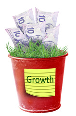 Money Plant