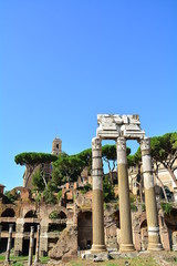 Obraz premium The roman forum and the monuments in the summer time