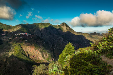 Nature of Tenerife