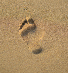 Fototapeta na wymiar Footstep and beach