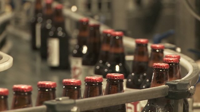 Bottles zip along a conveyor belt in a bottling plant.