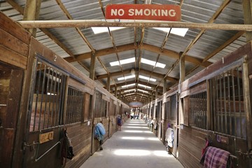 Animals: Empty barn with a no smoking sign
