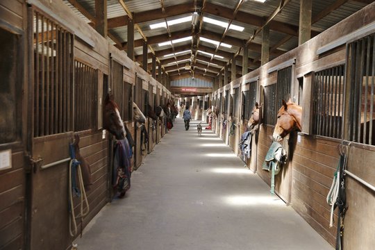 Fototapeta Animals: Empty barn with a no smoking sign  