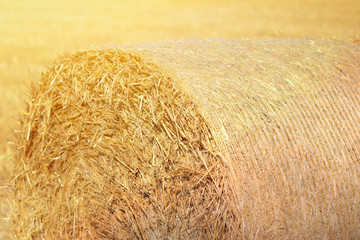Hay roll on field
