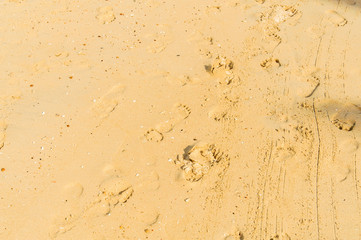 Foot step on sand