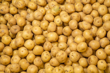 Patata o papa amarilla o criolla 