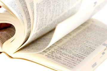 English-Japanese dictionary.