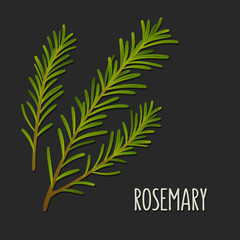 Rosemary sprig