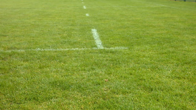 View of sports lines