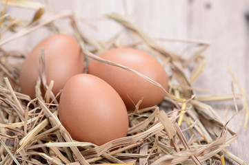 fresh chicken eggs with nest on wood table