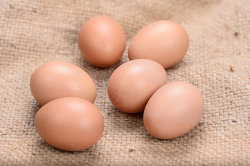 fresh chicken eggs on wood table