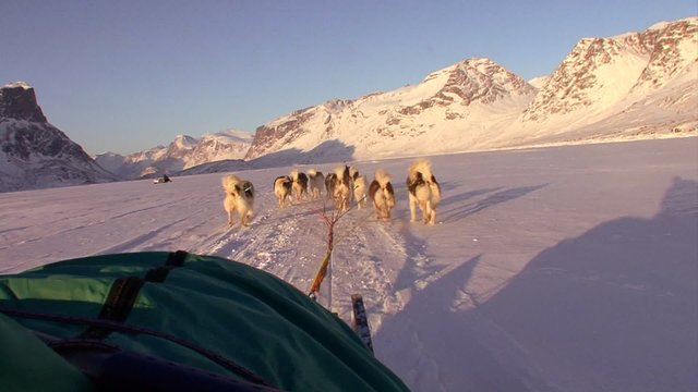 A POV shot from a dogsled heading across the Arctic tundra.