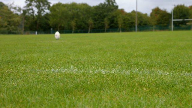 View of a rugby ball