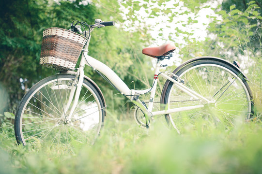 Vintage Bicycle with green grassfield