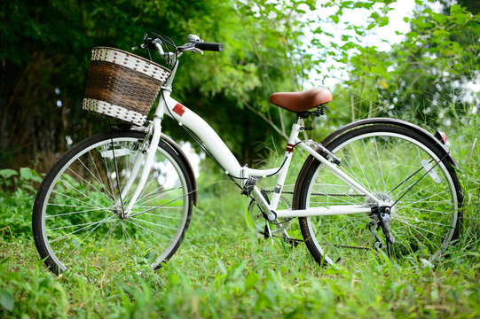Vintage Bicycle with grassfield
