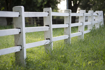 white fence