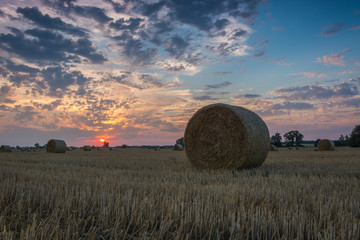 fields and meadows during sunset