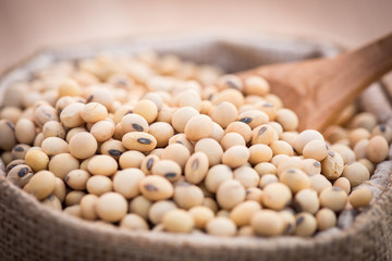 closeup of Soybeans in sack