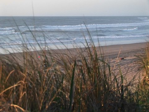 A dirt biker pops a wheelie on a sandy beach with no one around to admire his skill.